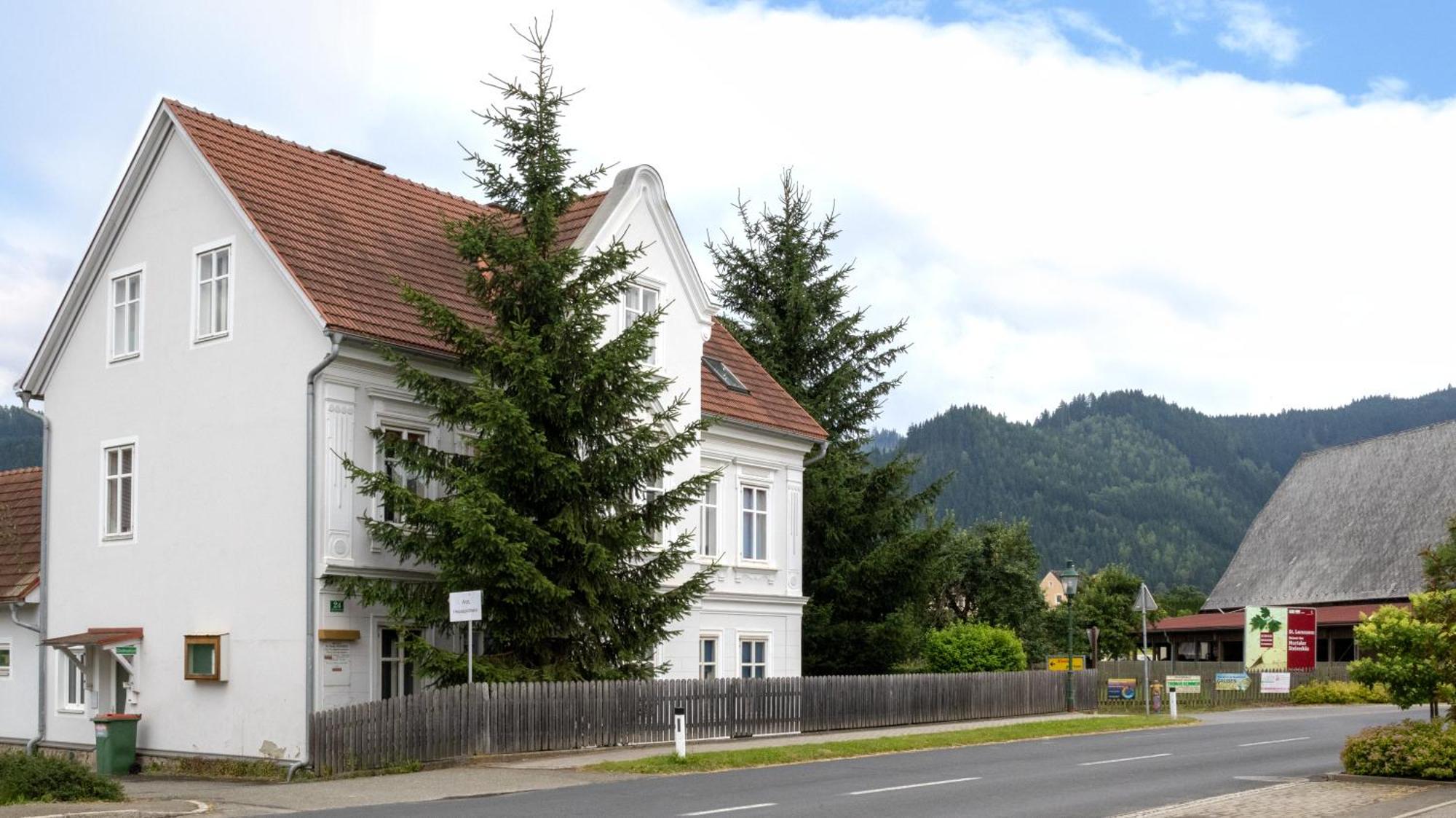 Flat Bull Appartement Mit Garten Sankt Lorenzen bei Knittelfeld Exterior foto